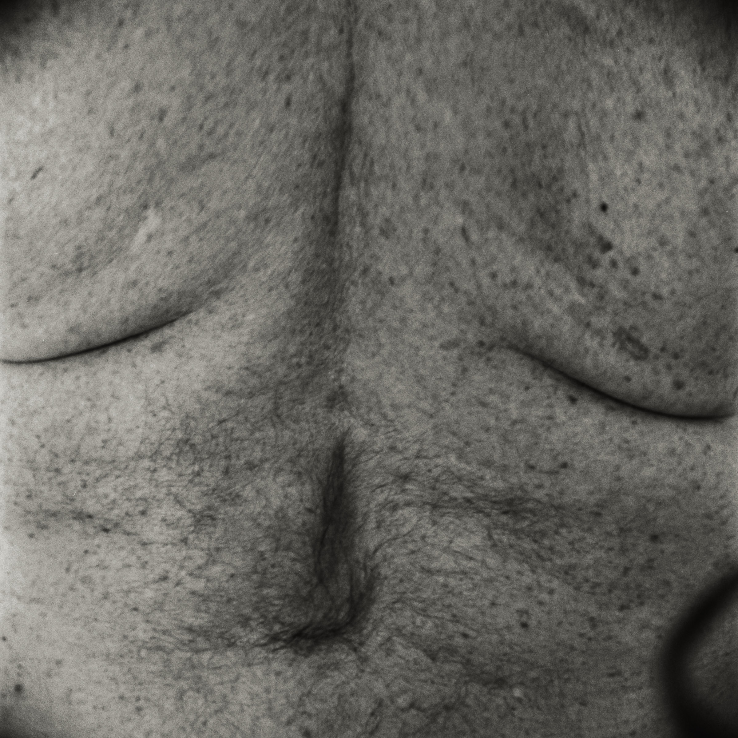 Photograph by Ronen Boneh