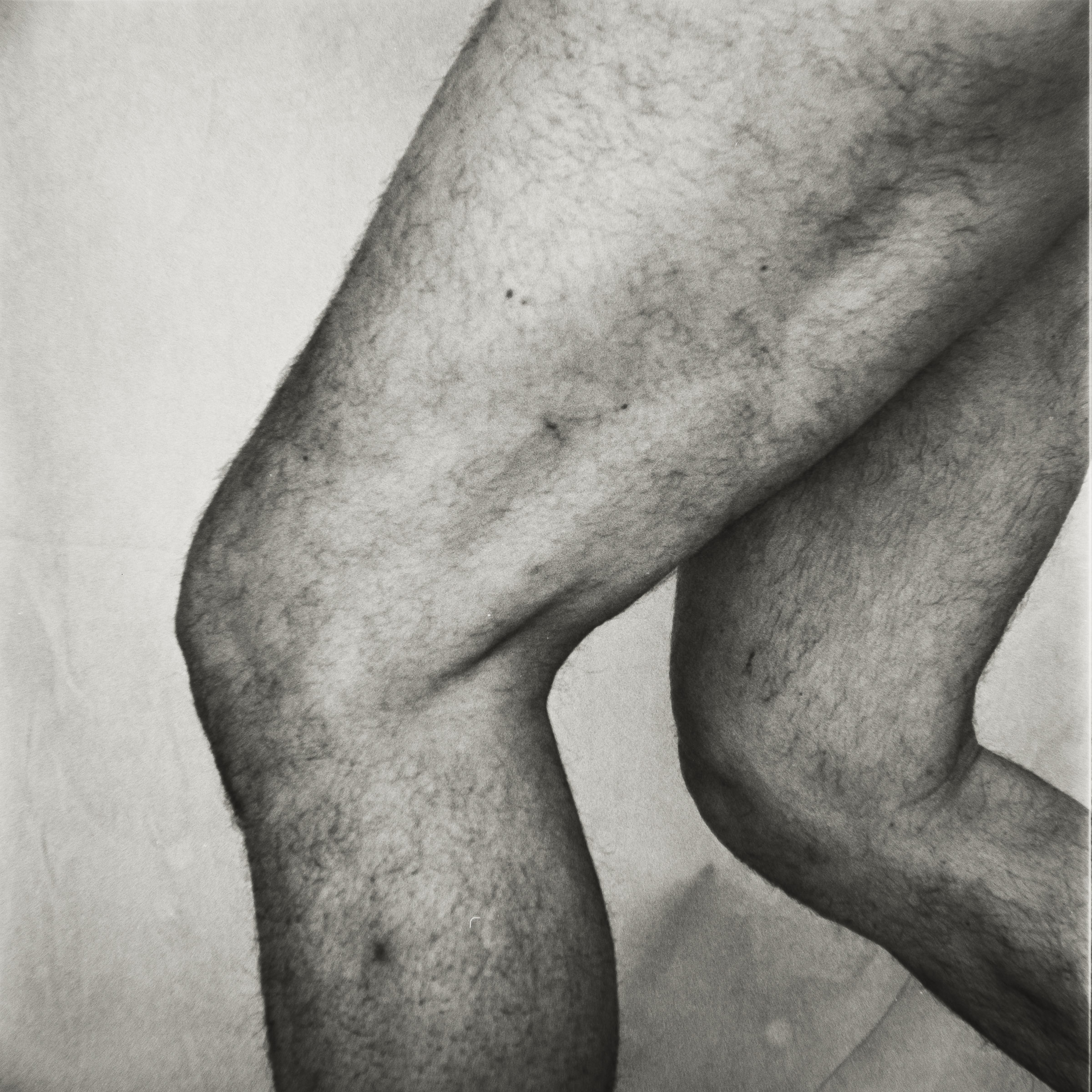 Photograph by Ronen Boneh