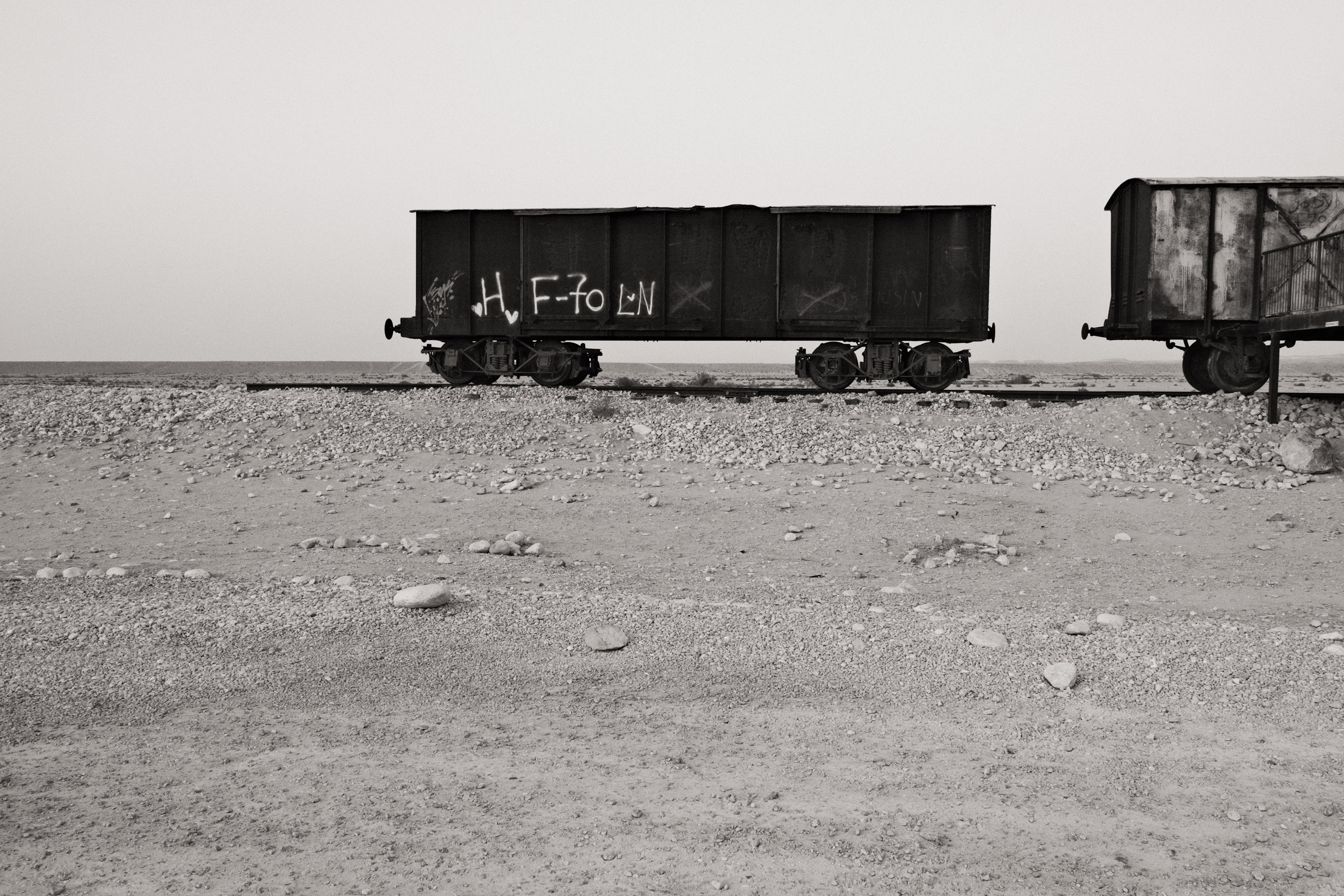Photograph by Ronen Boneh