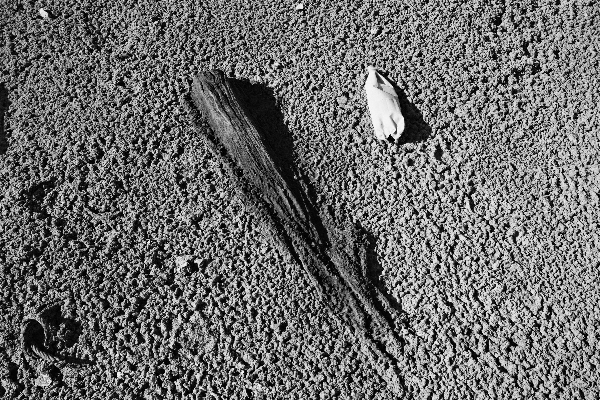Photograph by Ronen Boneh