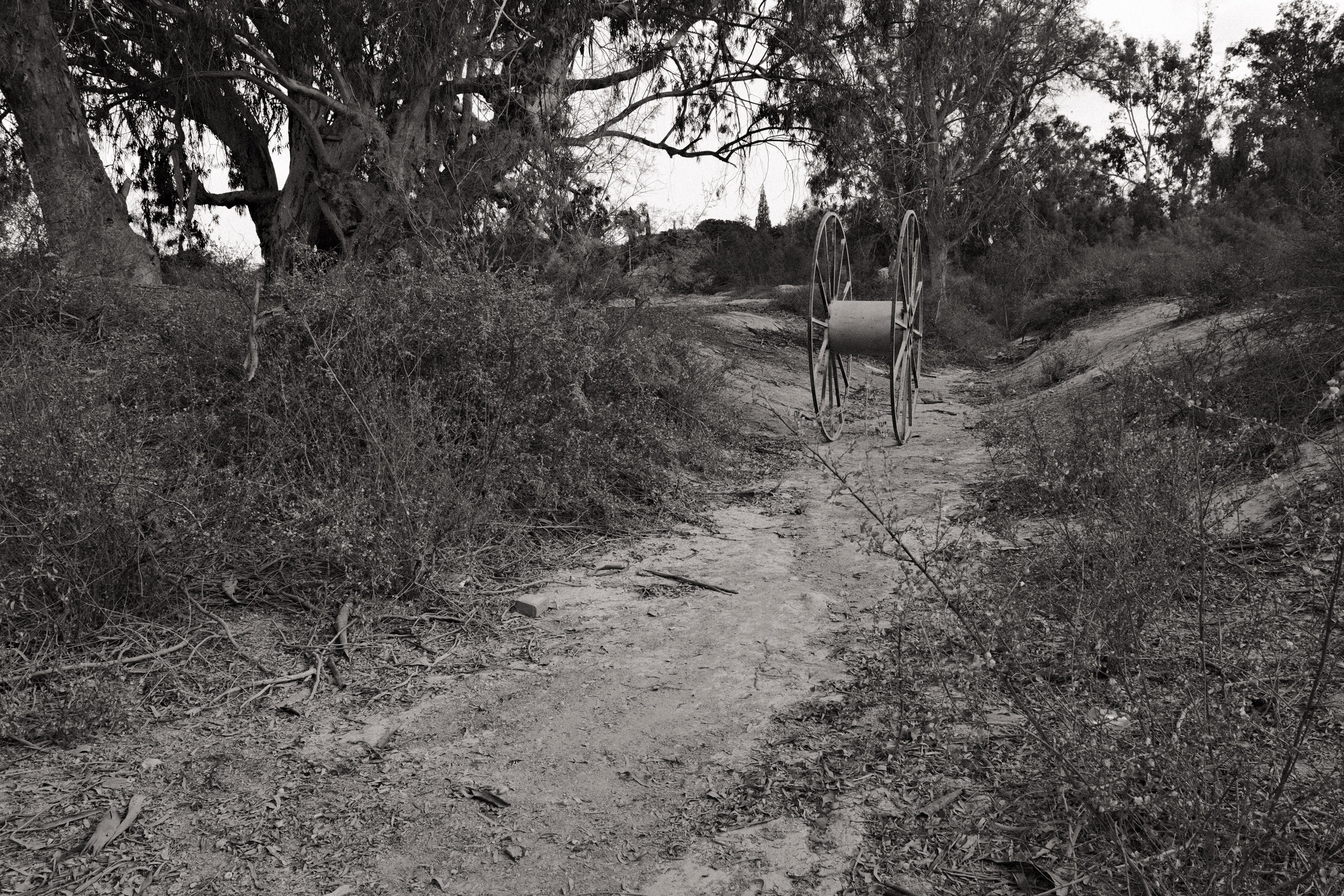 Photograph by Ronen Boneh