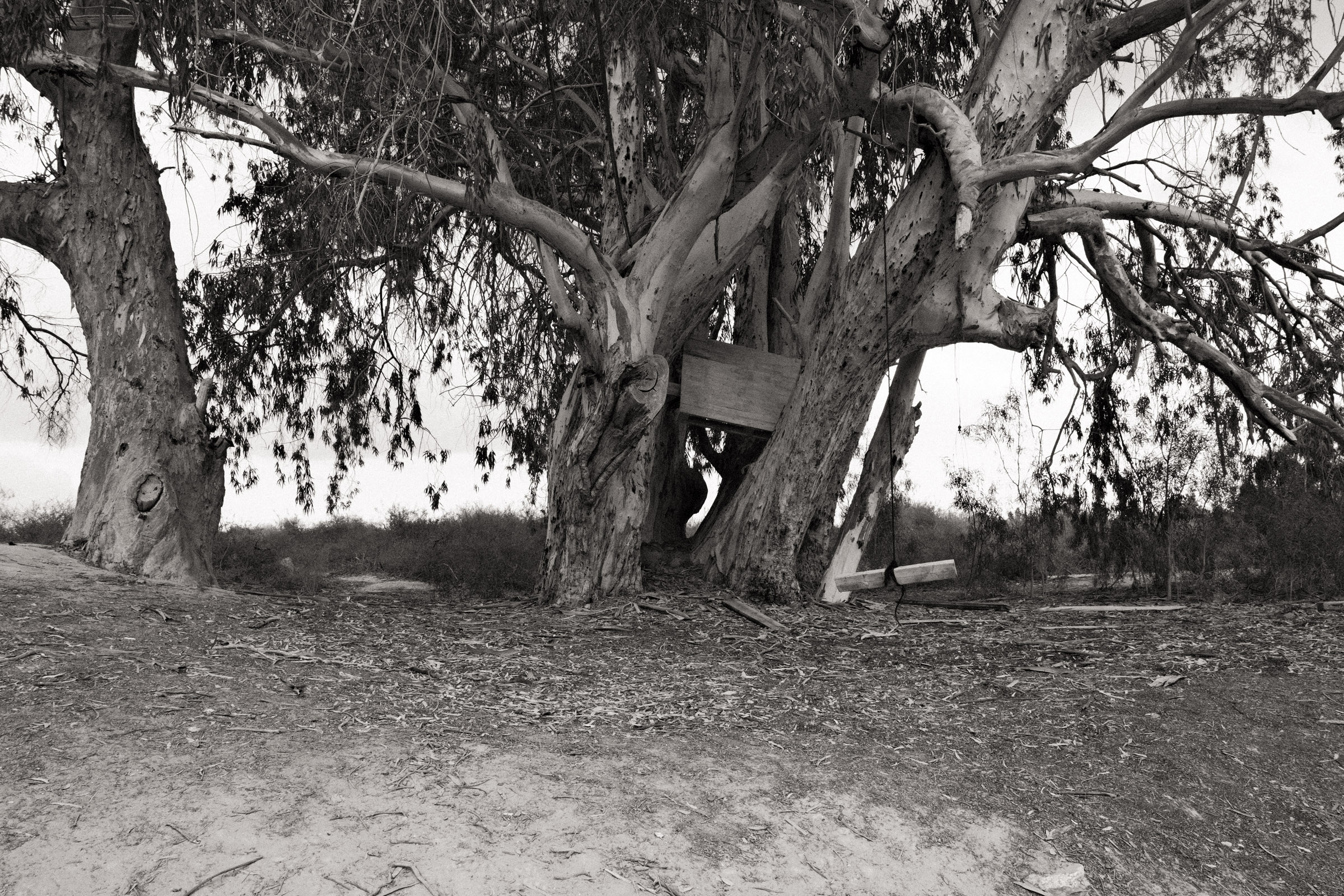 Photograph by Ronen Boneh