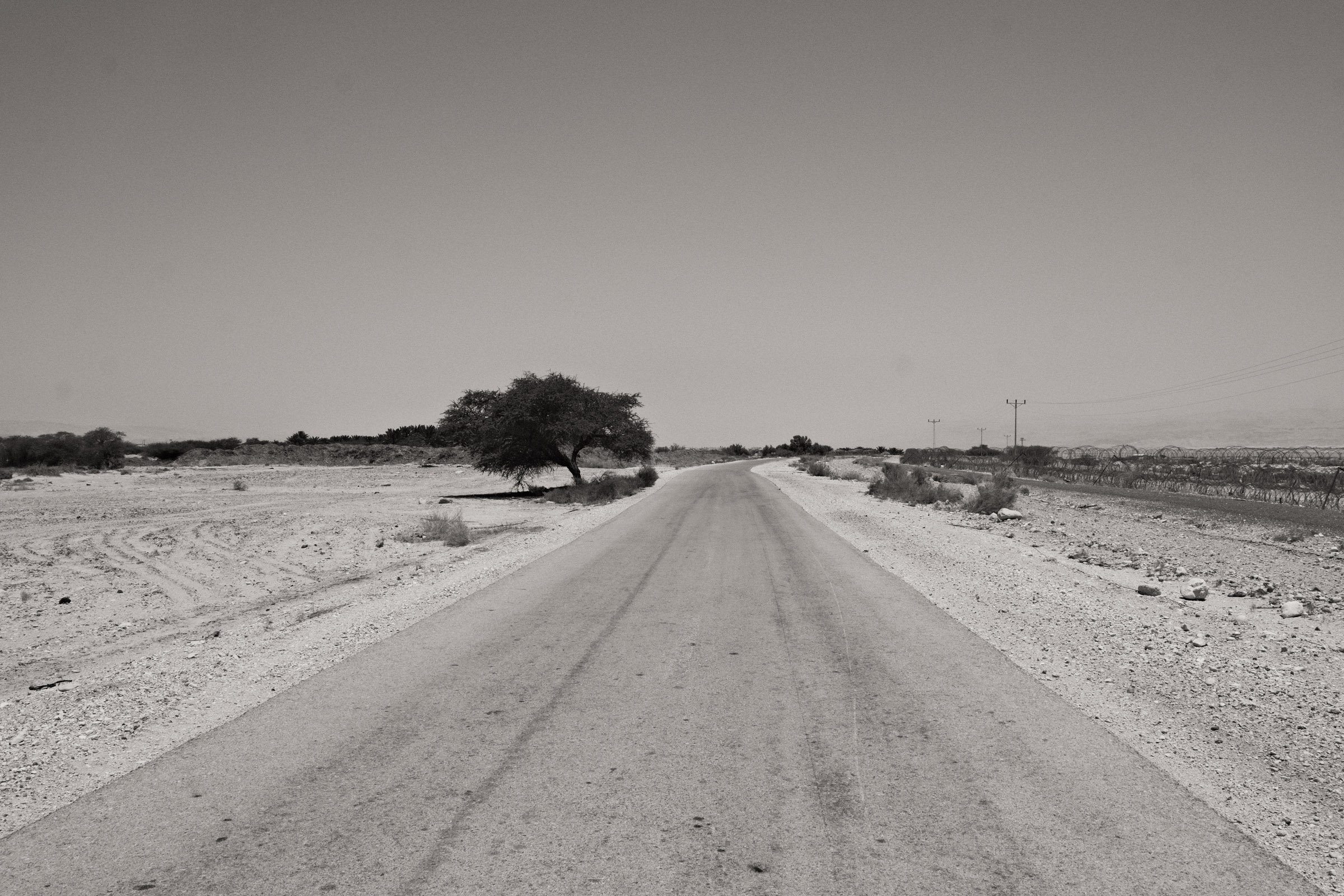 Photograph by Ronen Boneh