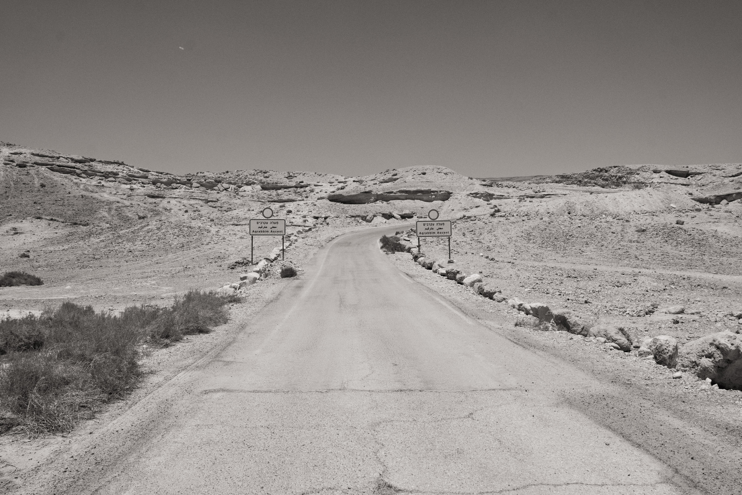 Photograph by Ronen Boneh
