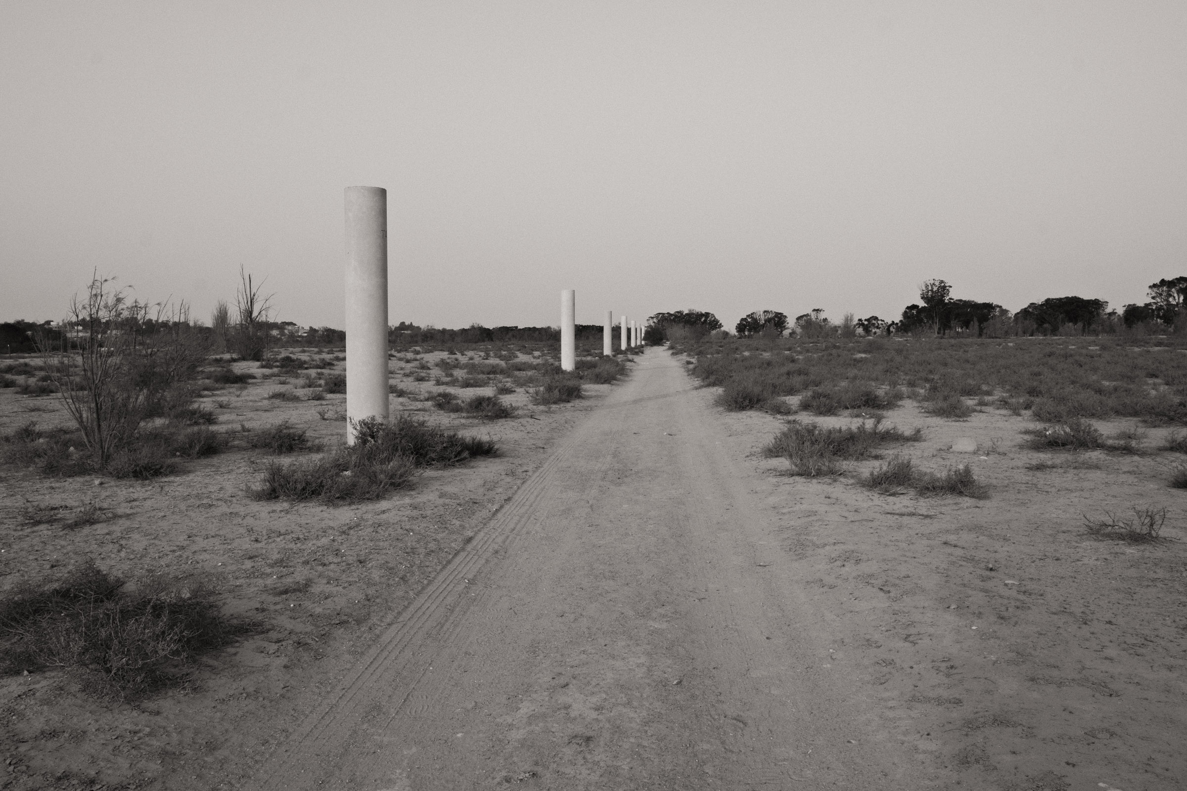Photograph by Ronen Boneh