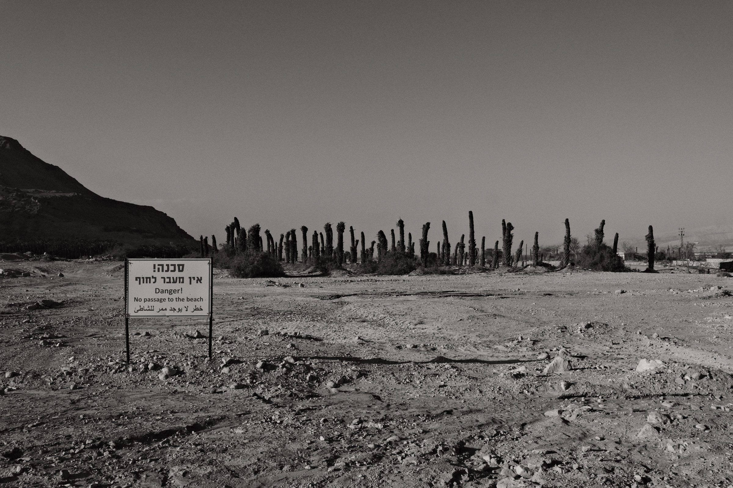 Photograph by Ronen Boneh