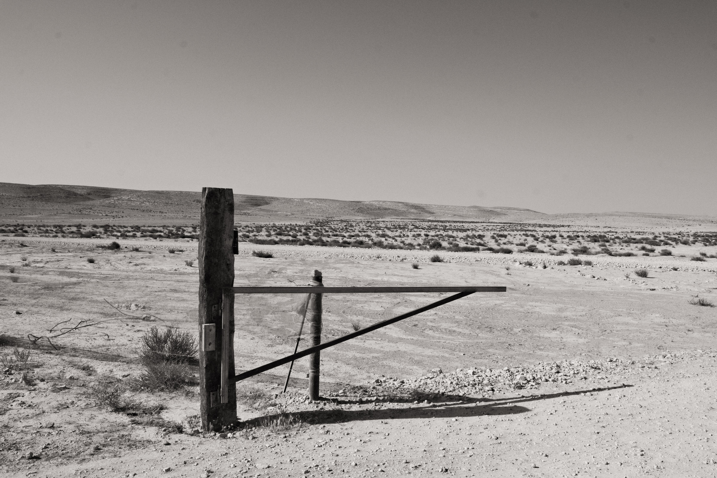 Photograph by Ronen Boneh