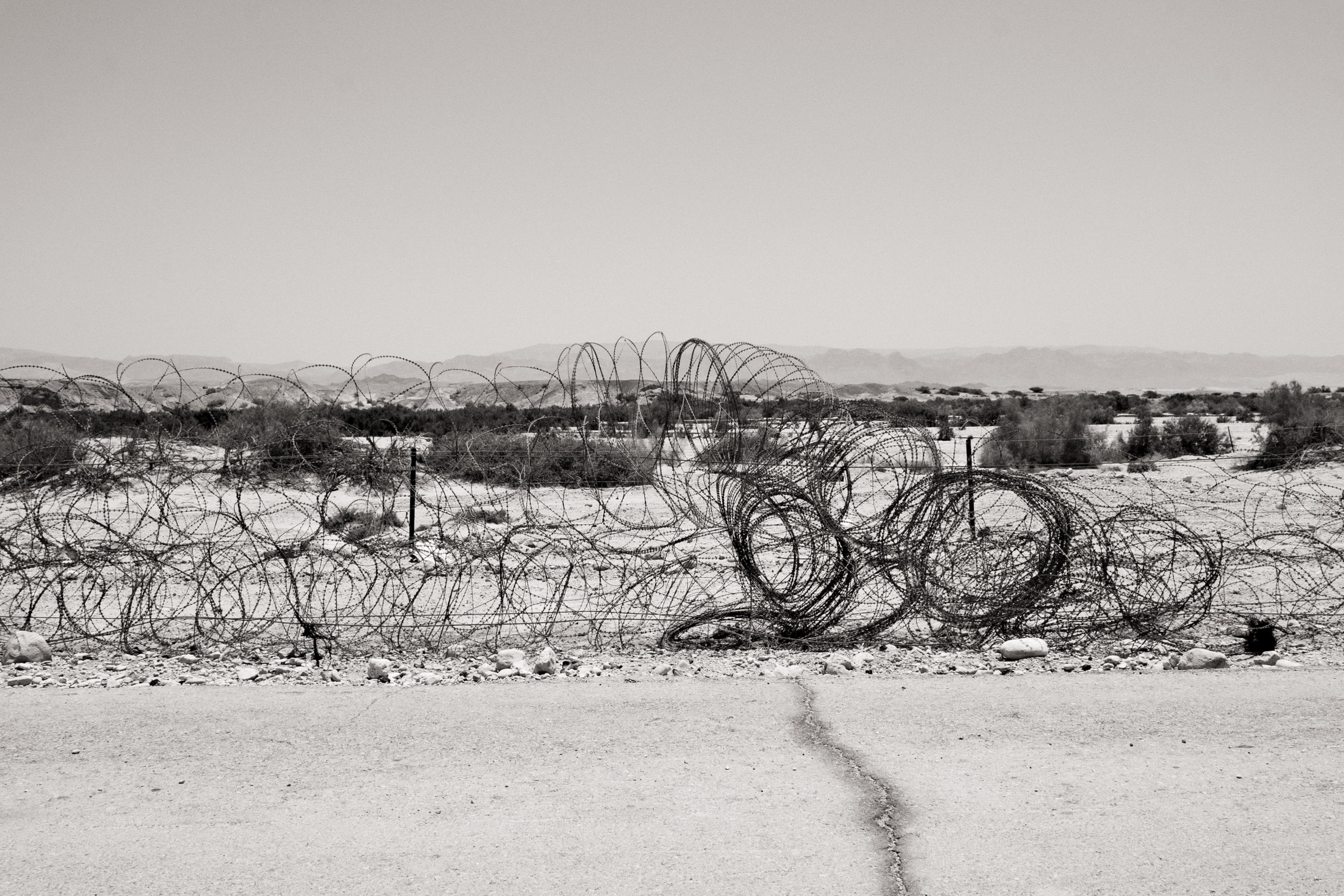 Photograph by Ronen Boneh