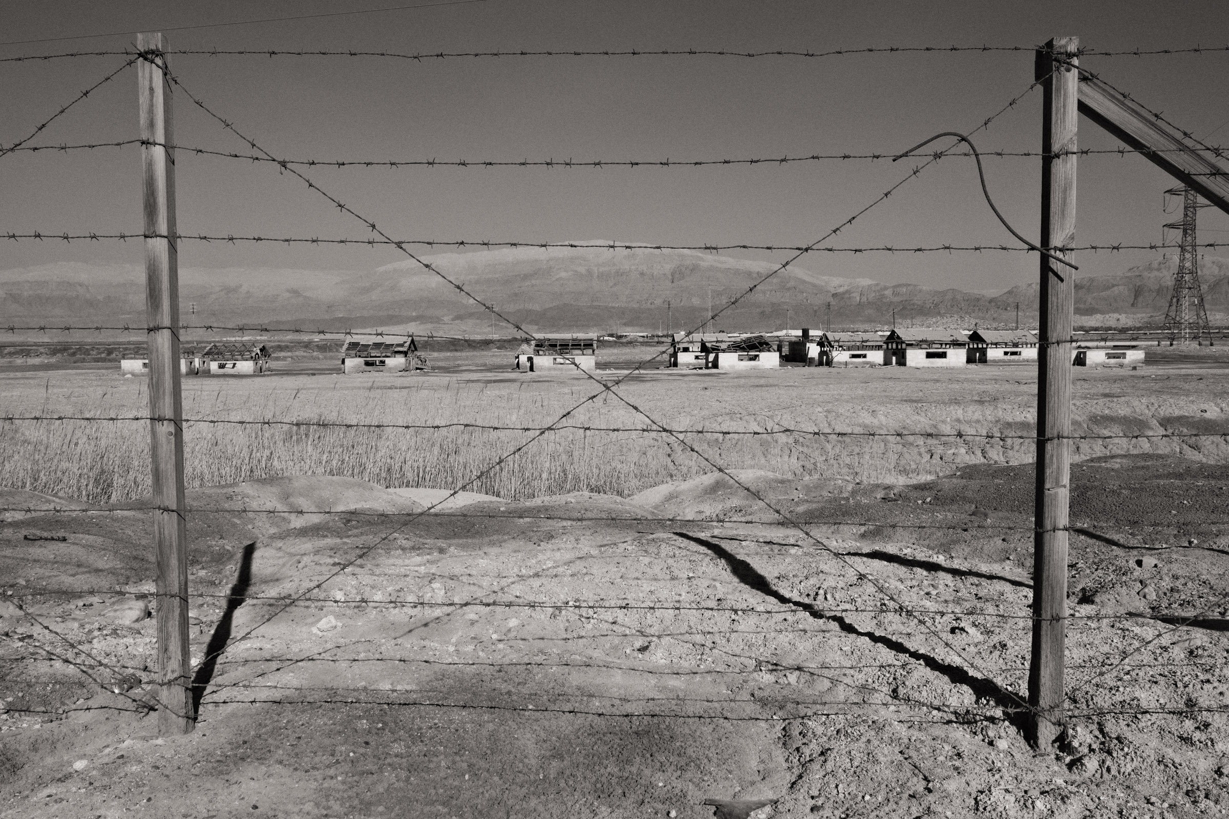 Photograph by Ronen Boneh