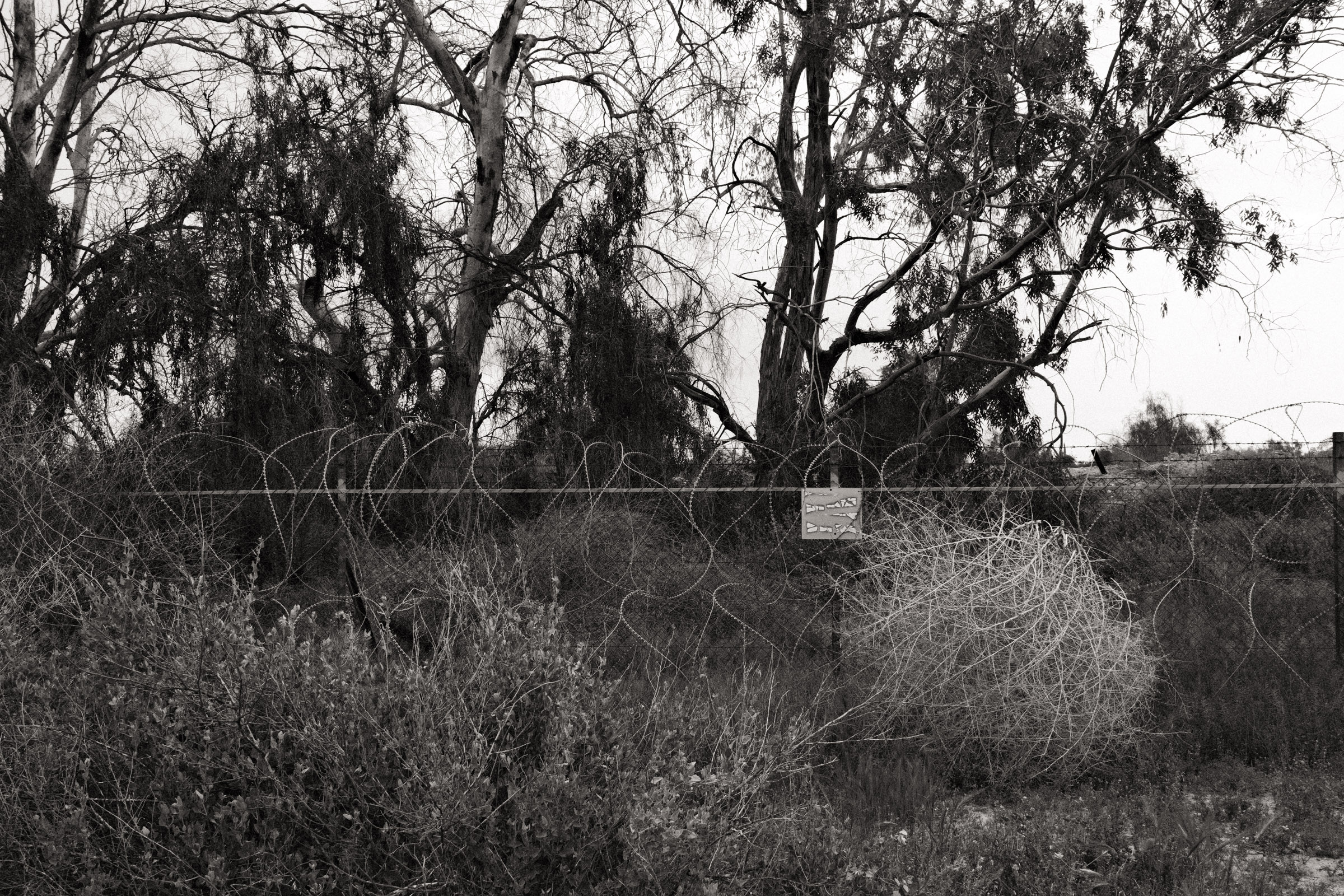 Photograph by Ronen Boneh