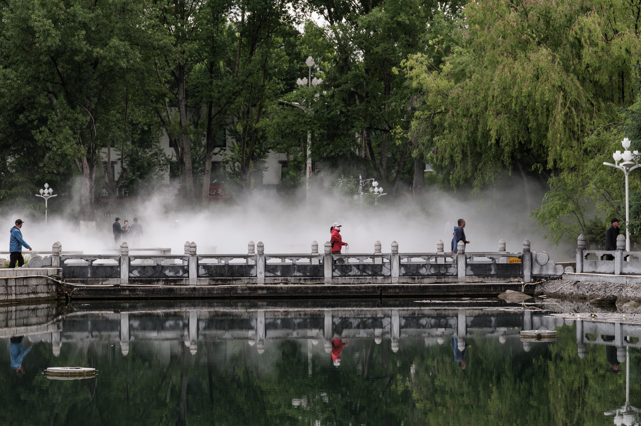 Photograph by Ronen Boneh