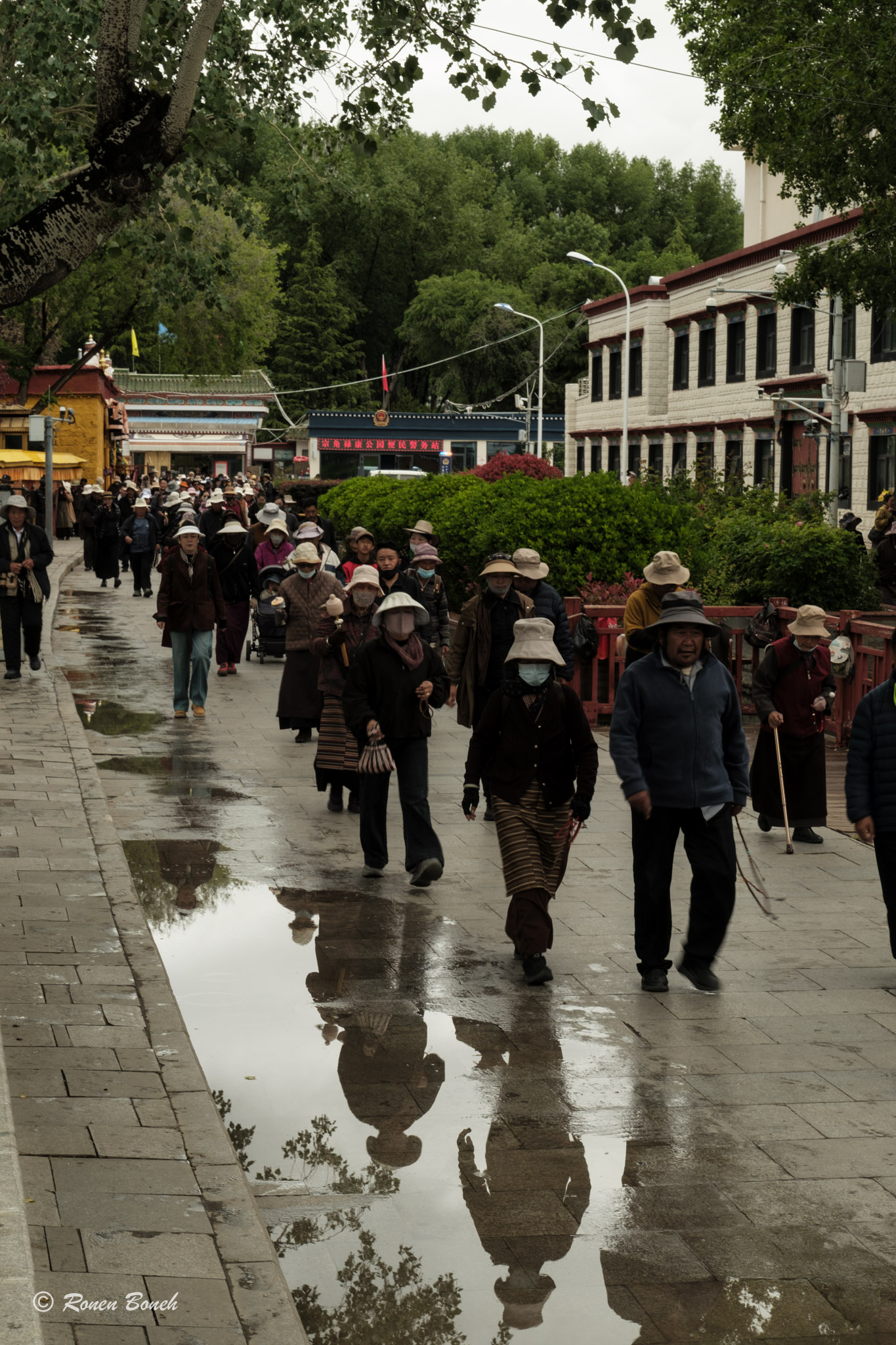 Photograph by Ronen Boneh