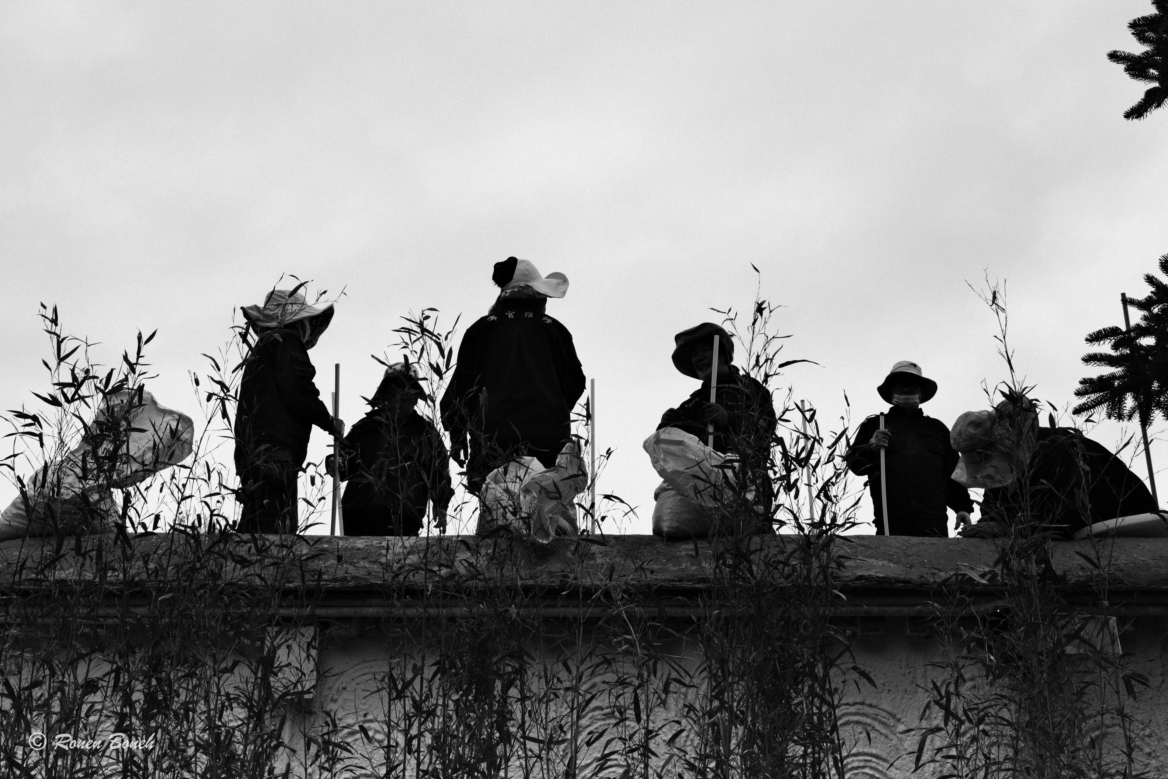 Photograph by Ronen Boneh
