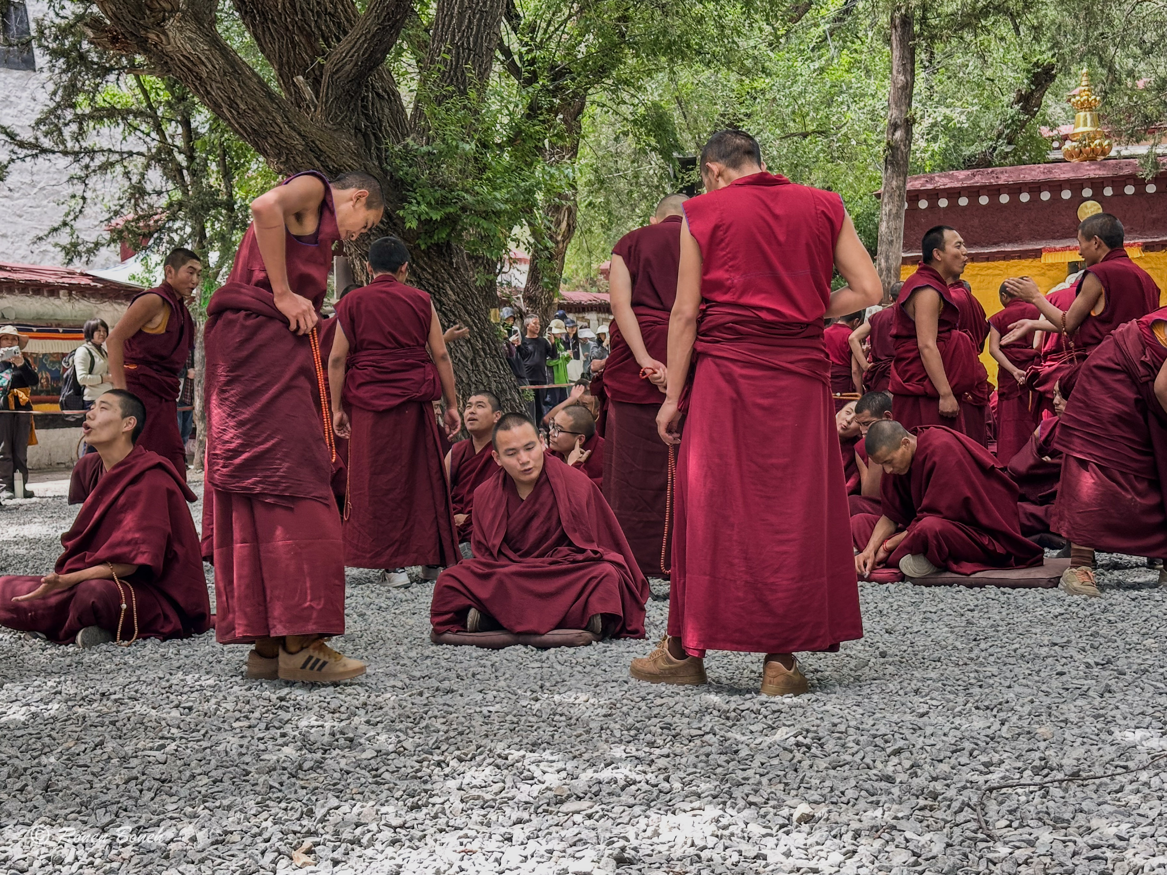 Photograph by Ronen Boneh